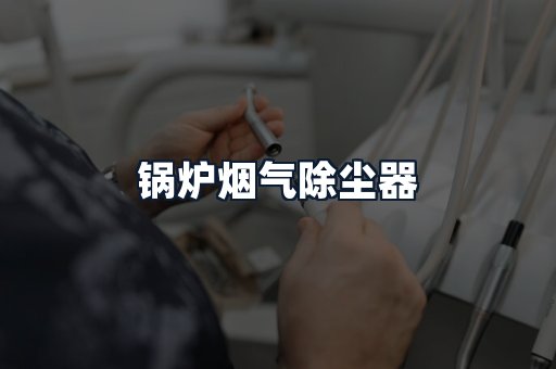 锅炉烟气除尘器